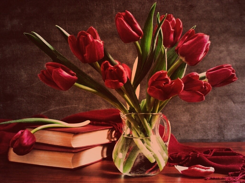 Букет красных тюльпанов обои