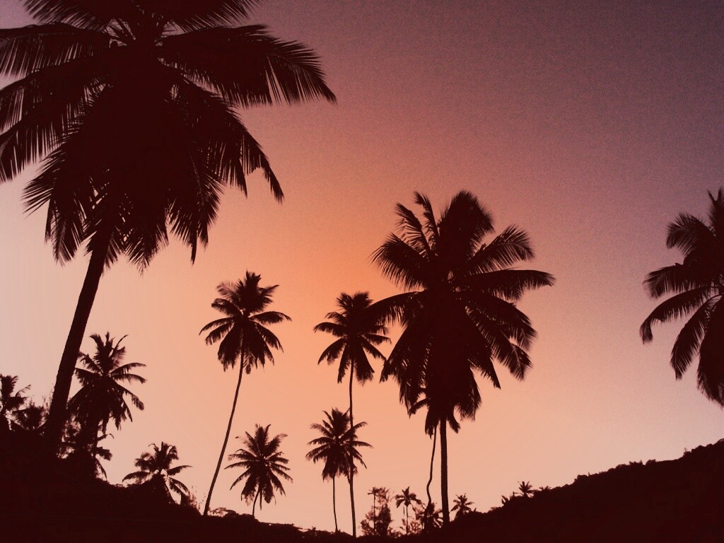 Пальмы на фоне фиолетового неба обои