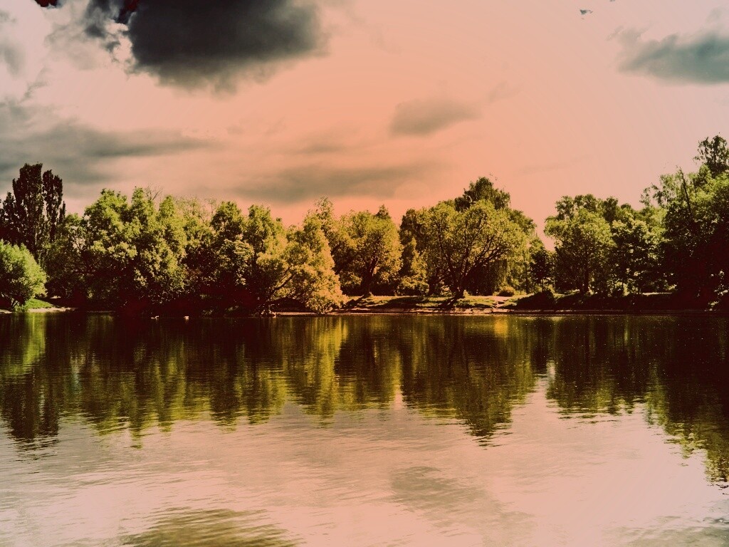 Деревья на берегу озера обои