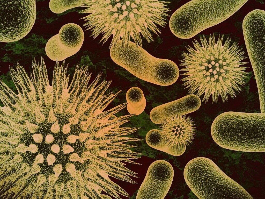 Бактерии обои