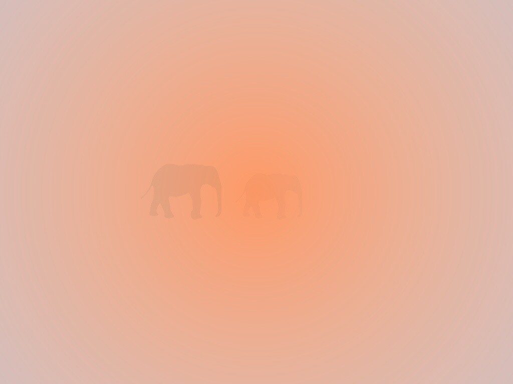 Вереница слонов обои