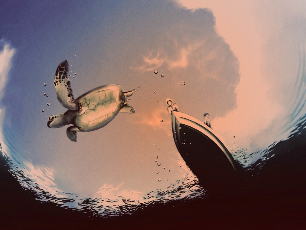 Катер и водная черепаха обои