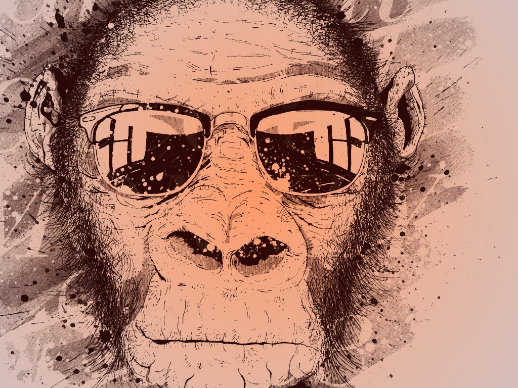 Макака в очках обои