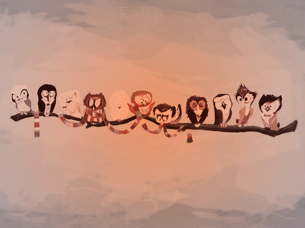 Совы на ветке обои