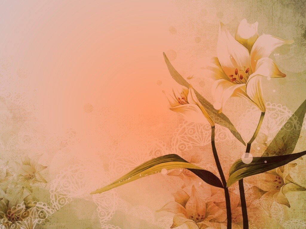 Красивое изображение лилии обои