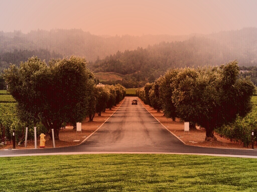 Сельский пейзаж обои