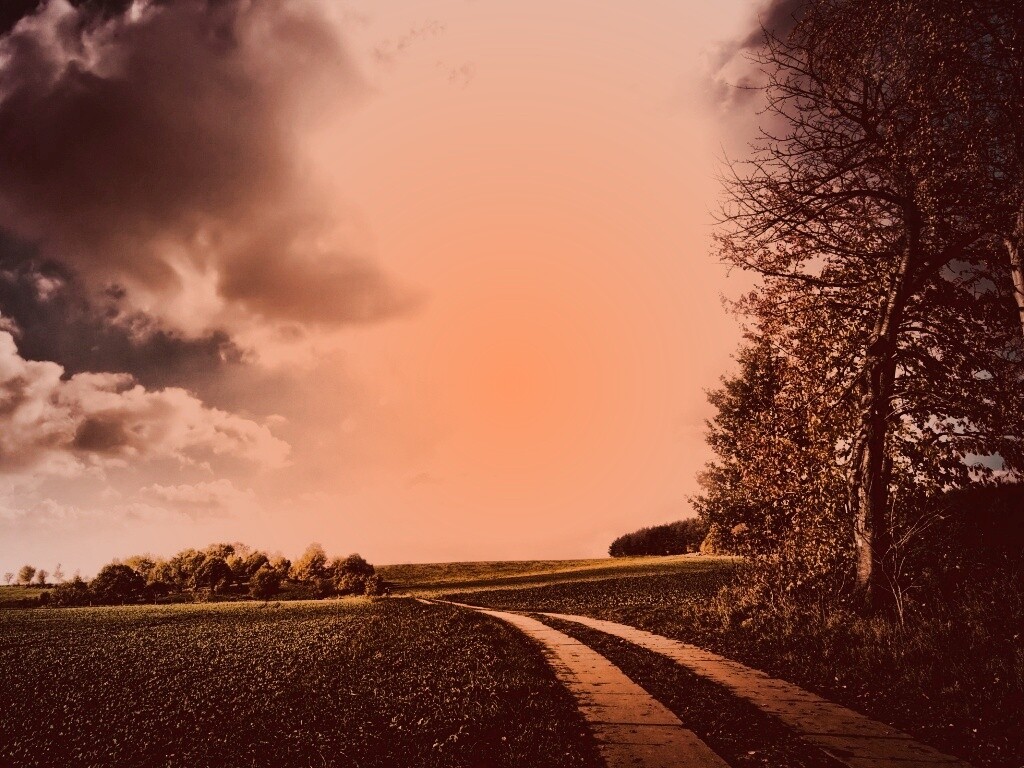 Солнечные холмы обои