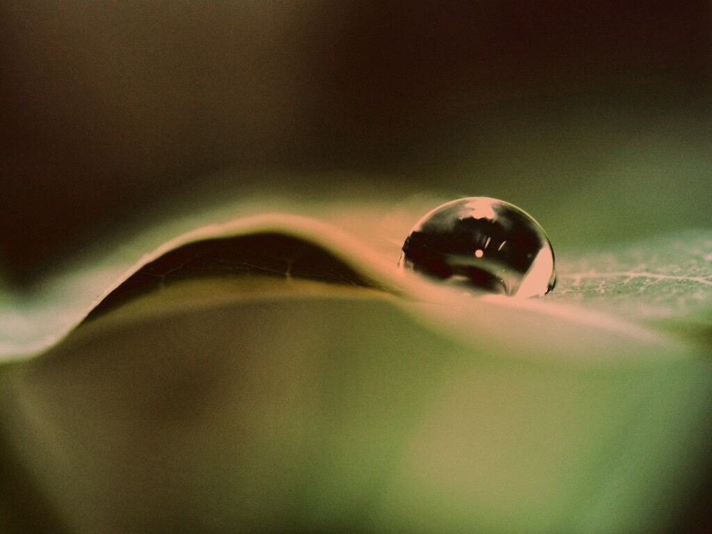 Фотография капли воды в макро обои