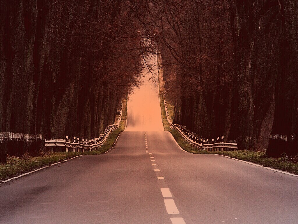 Дорога уходит ввысь обои