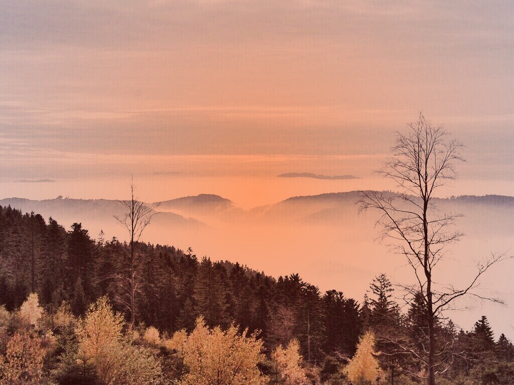 Холмы в тумане обои