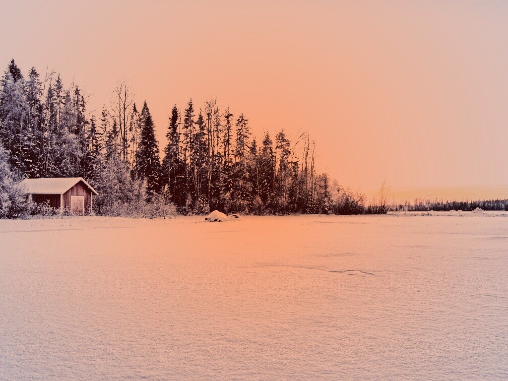 Зимний закат обои