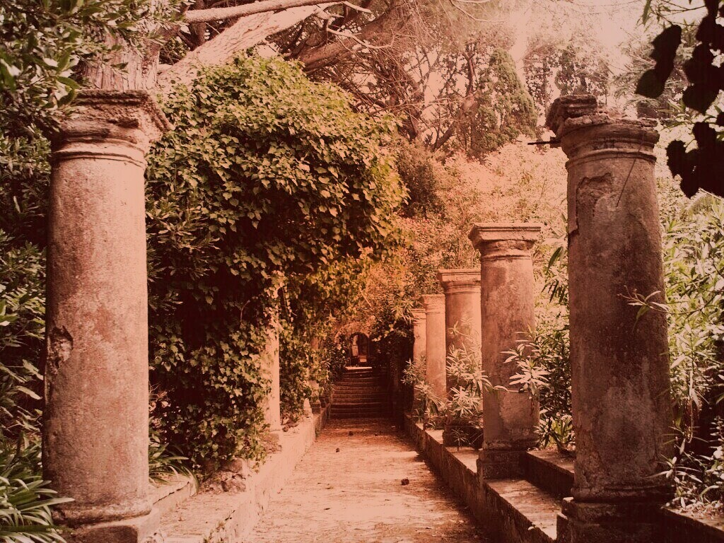 Галерея зимнего сада обои