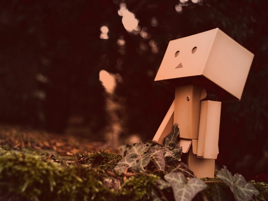 Danbo смотрит вверх обои
