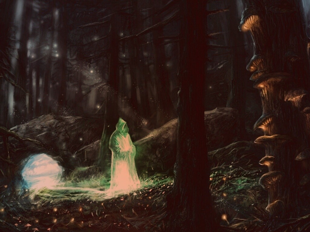 Маг света в лесу обои