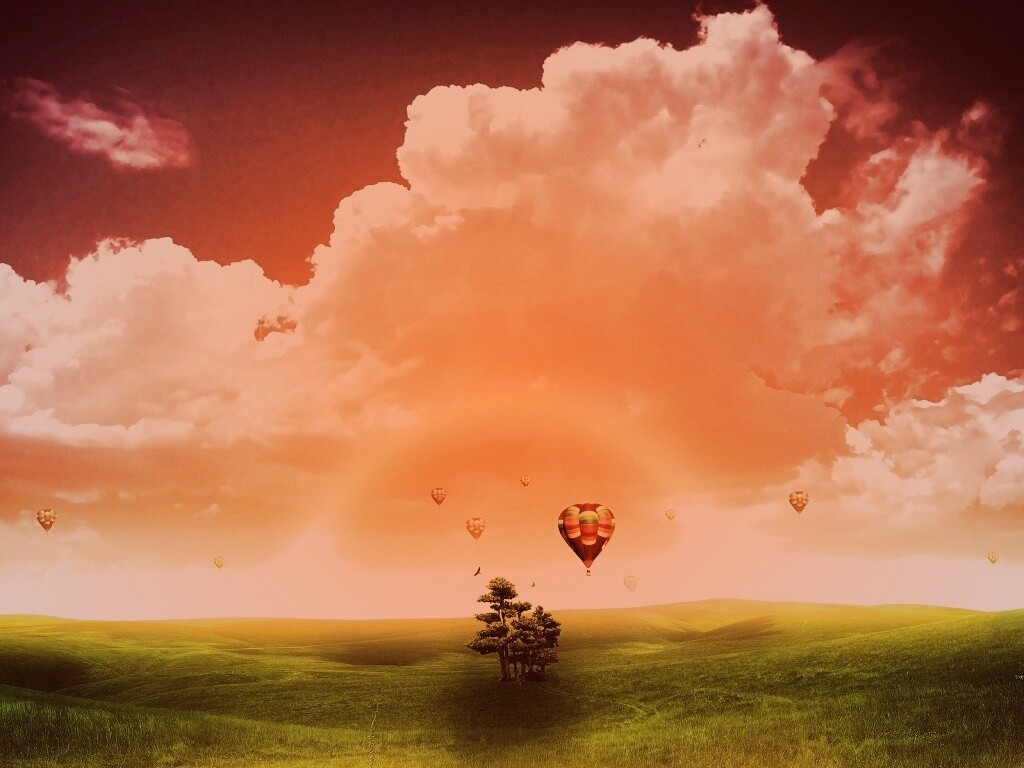 Мечты о полёте обои