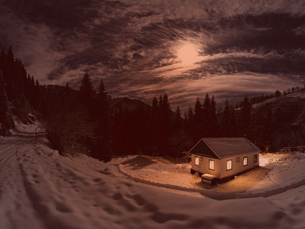 Один в зимнем лесу обои