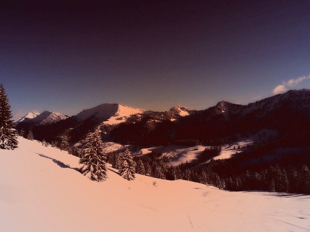 Лес в горах обои