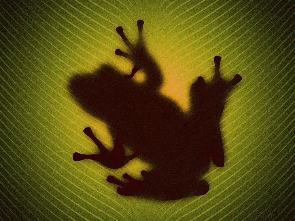 Силуэт лягушки просвечивает сквозь зеленый лист обои