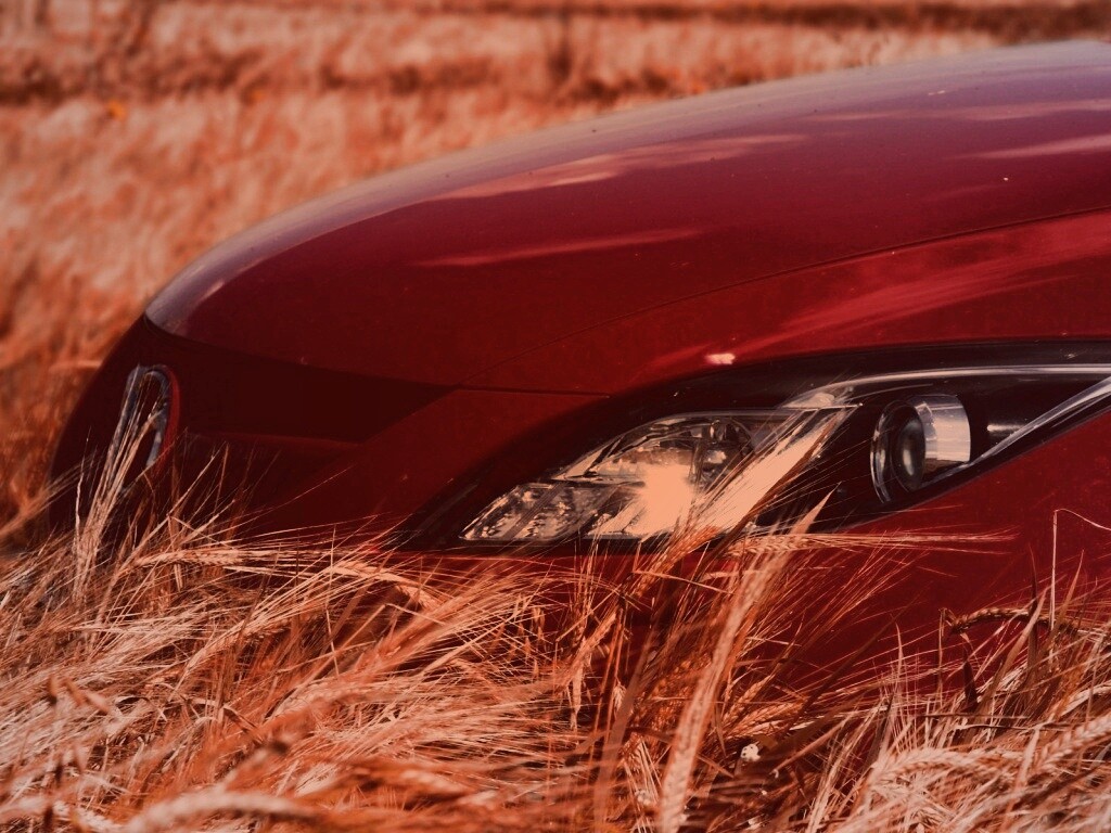 Мазда в пшенице обои