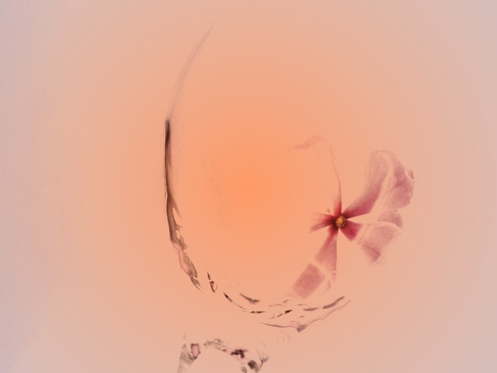 Нежный цветок в бокале на фоне голубого неба обои