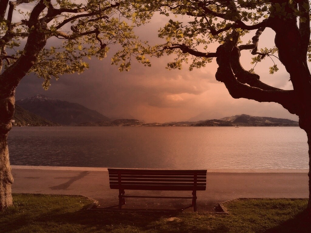 Скамейка на берегу обои