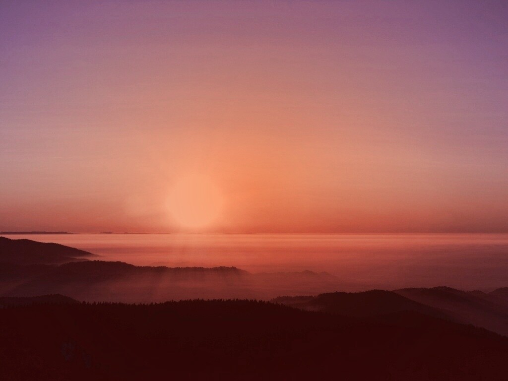 Восход солнца над лесом обои