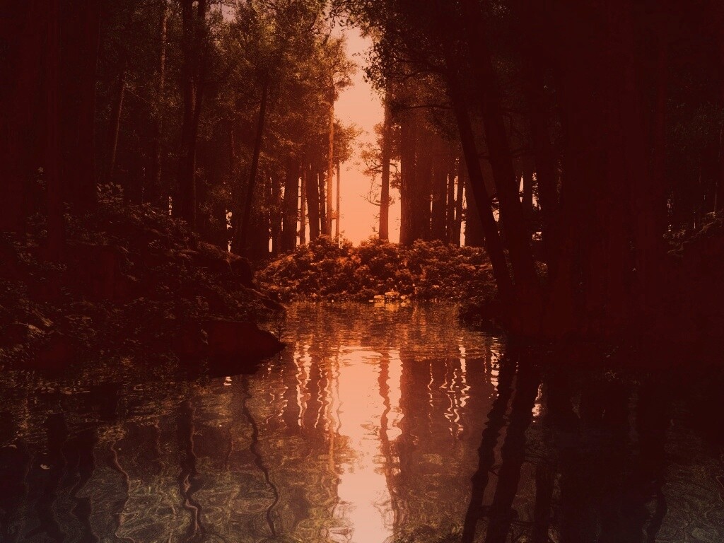 Болото в лесу обои