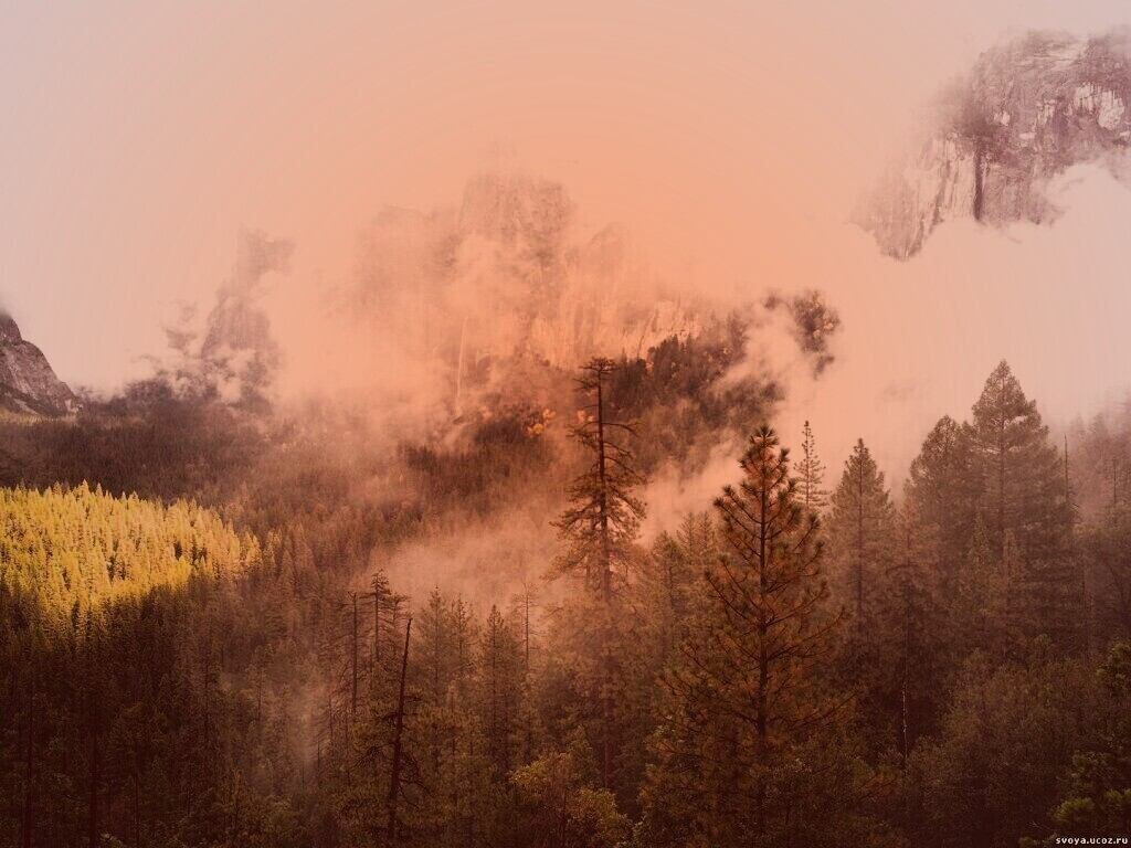 Туман в горах обои
