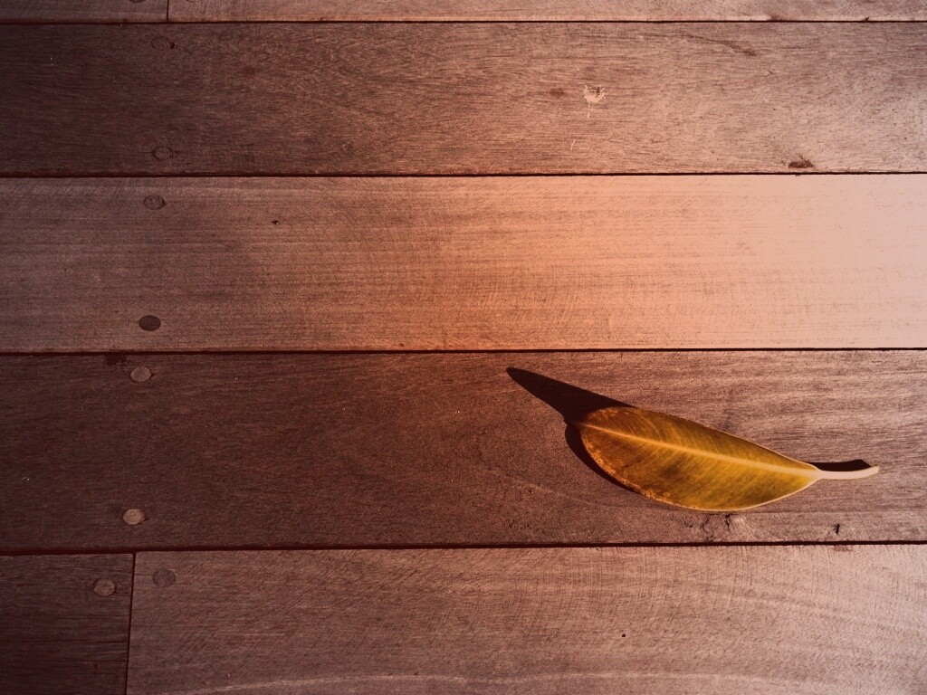 Лист на деревянном полу обои
