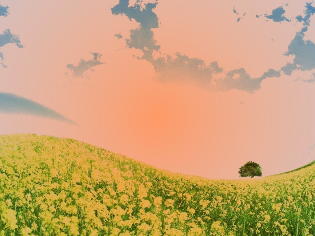 Искаженный мир обои