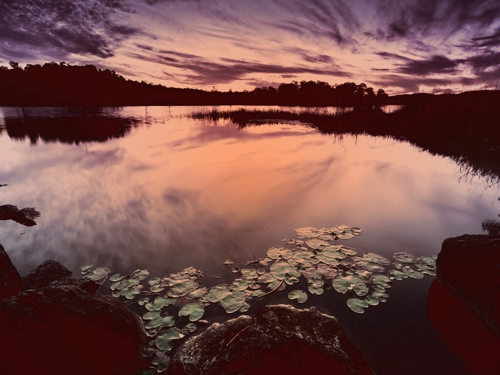 Озеро поздним вечером обои