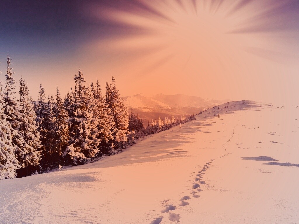 Холодные лучи зимнего солнца обои