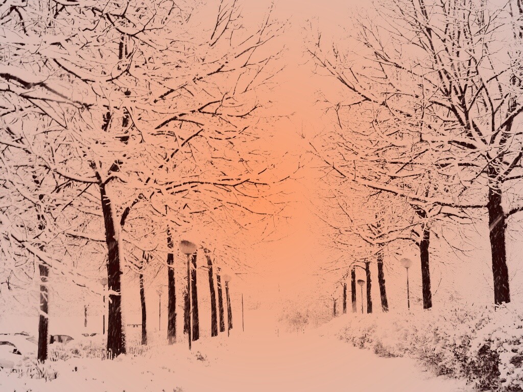 Заснеженная аллея обои