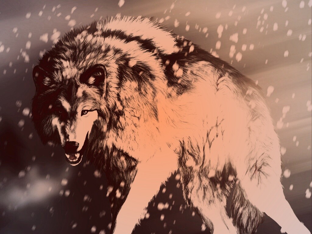 Охота на волка обои