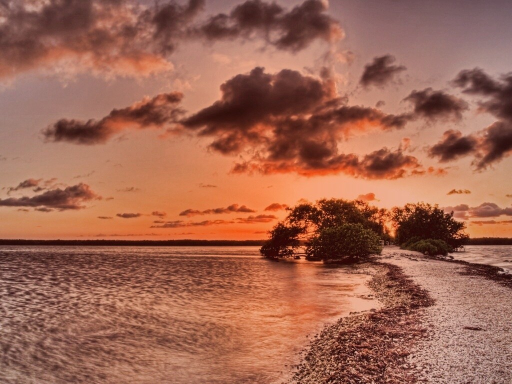 Побережье на закате обои