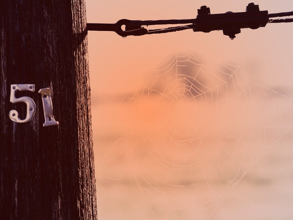 Паутина 51 обои