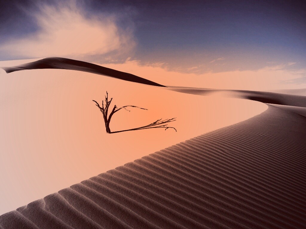 Дюны белого песка обои