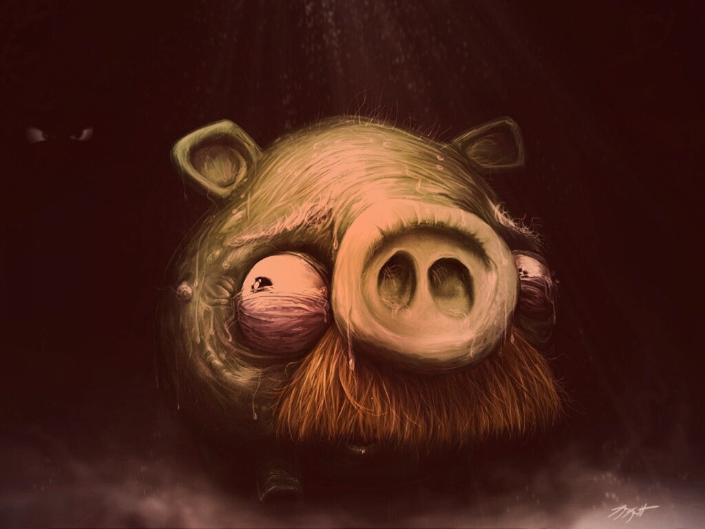 Свинья из Angry Birds обои