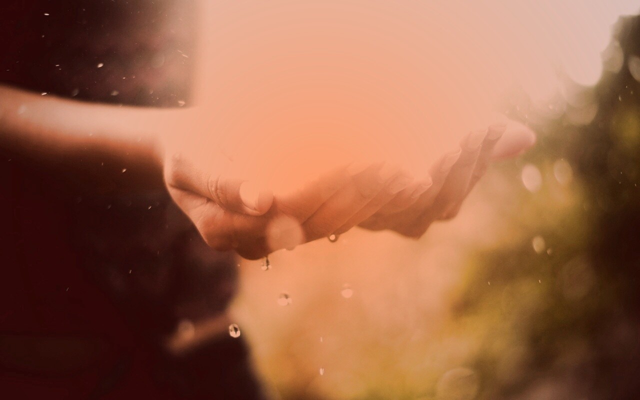 Дождь в ладонях обои