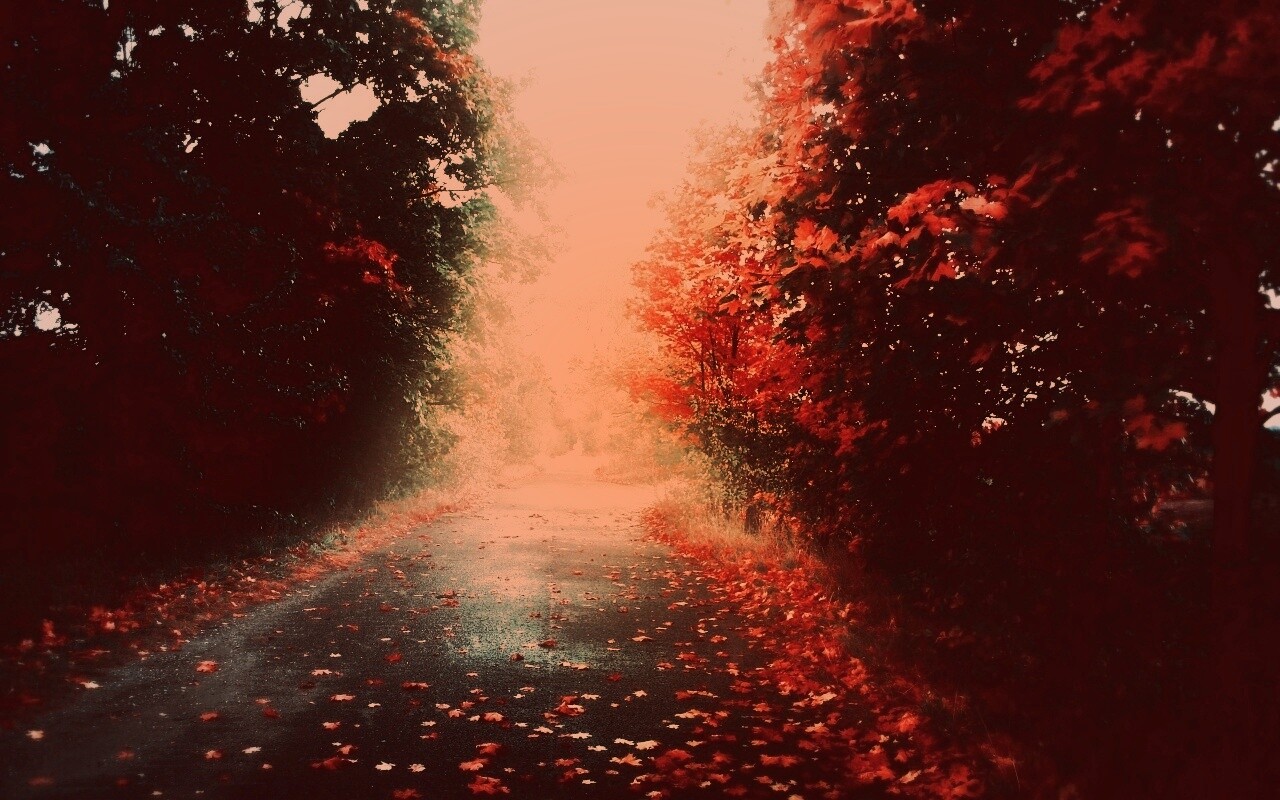 Желтая дорога обои