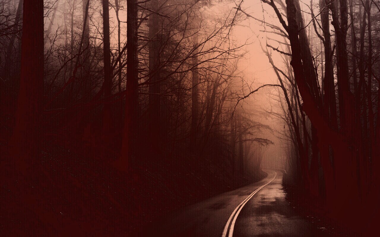 В туман обои