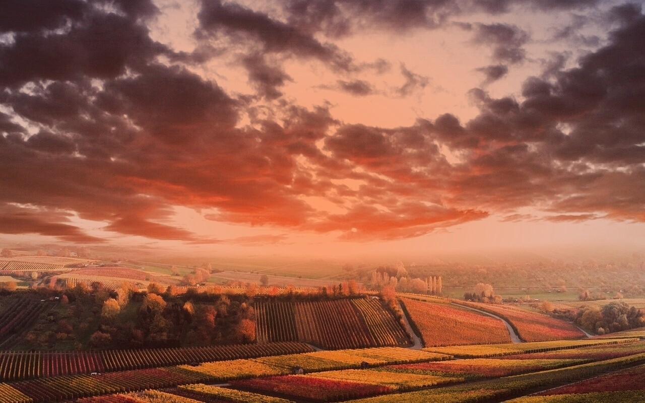 Обработанные земли в пригороде обои