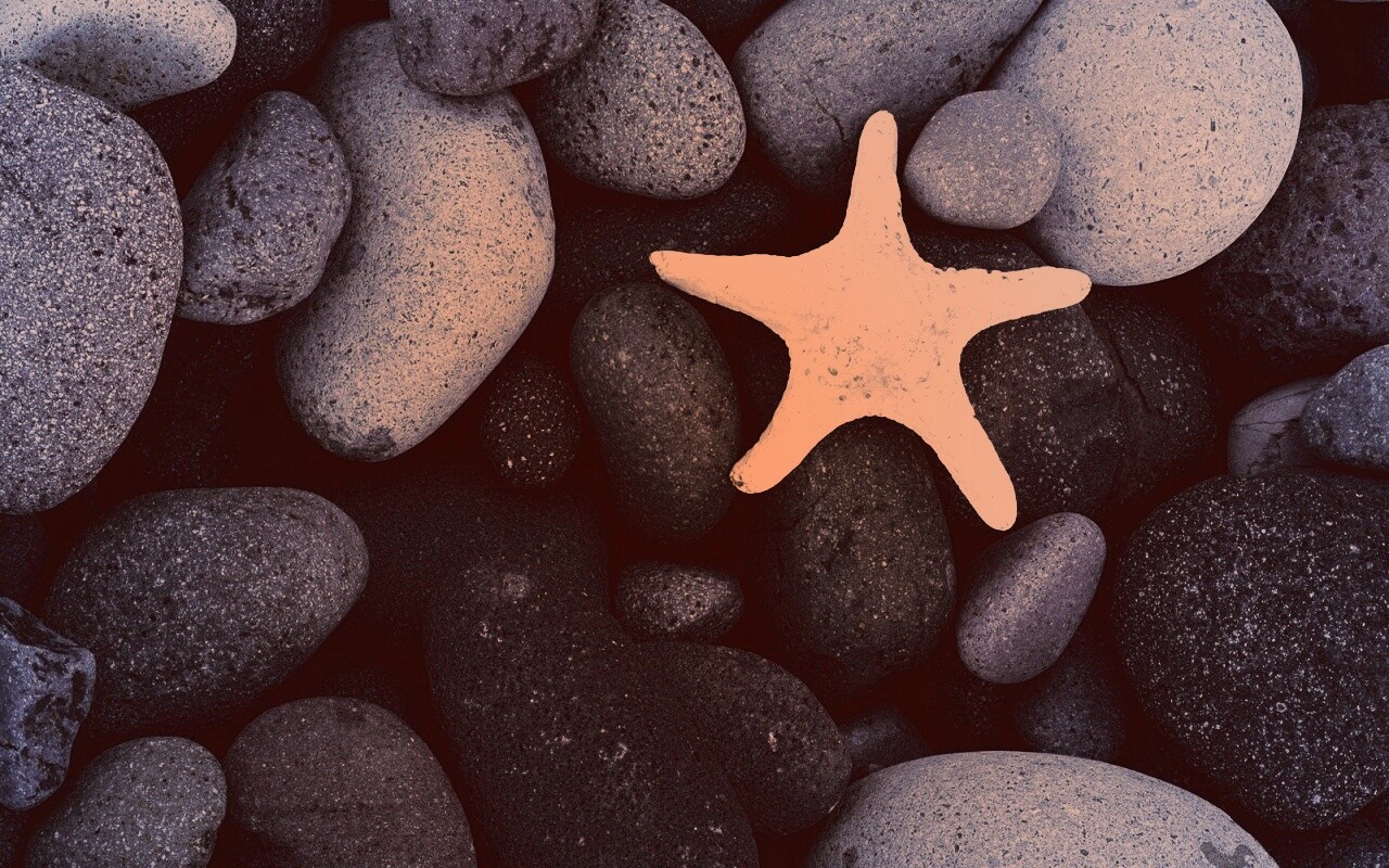 Звезда на морской гальке обои