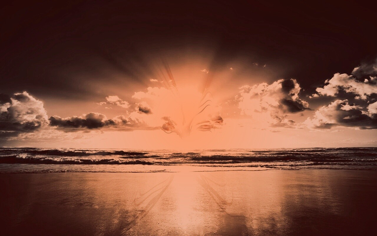 Абстрактные перья на фоне заката обои