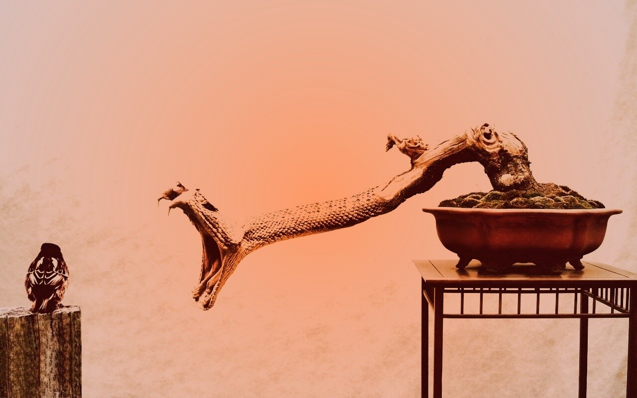 Змея-коряга напдает на птичку обои