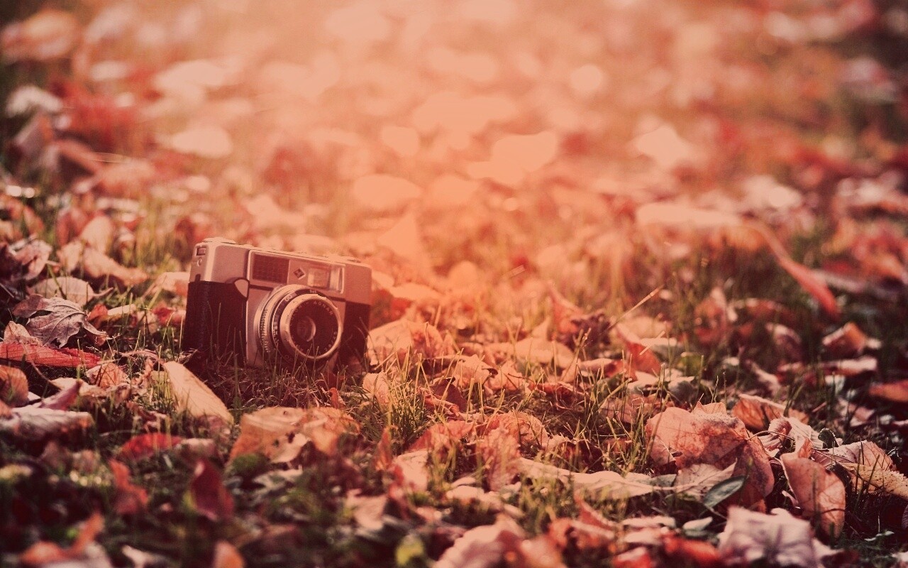 Старый фотоаппарат в траве обои