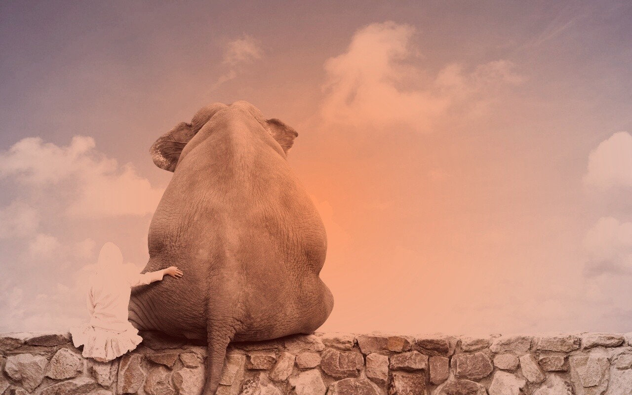 Девочка и слон обои