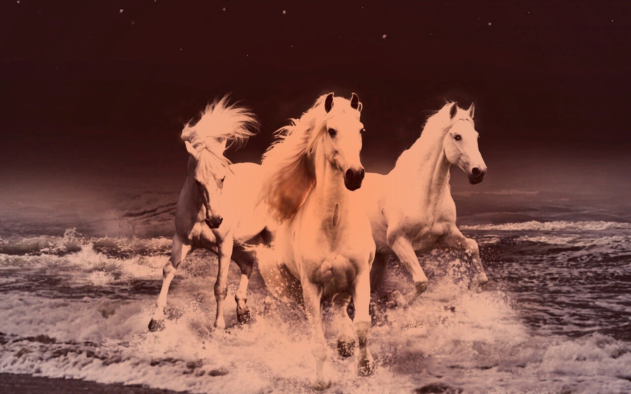 Тройка конец в море обои