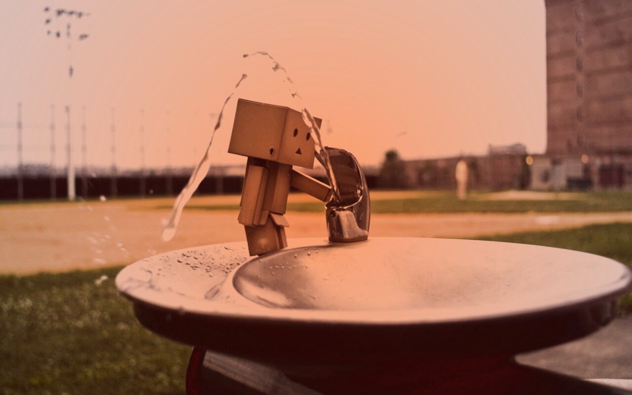 Дандо пьет в воду из фонтанчика обои