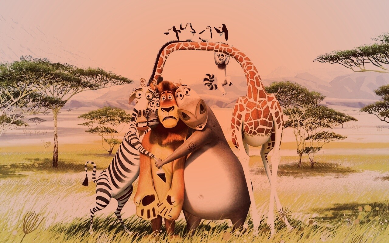 Герои мультфильма Мадагаскар обои